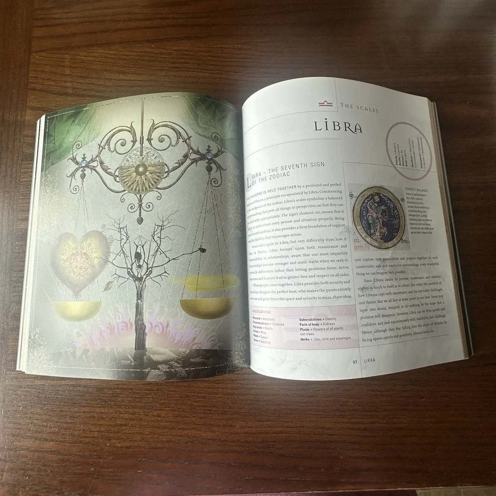 The Secret Language of Astrology by Roy Gillett Illustrated‎ Glossary Book